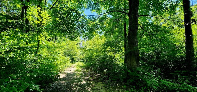 4433 Elm St, New Era, MI 49446 - view of tree filled area