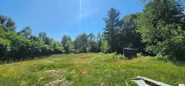 4433 Elm St, New Era, MI 49446 - view of yard featuring a forest view