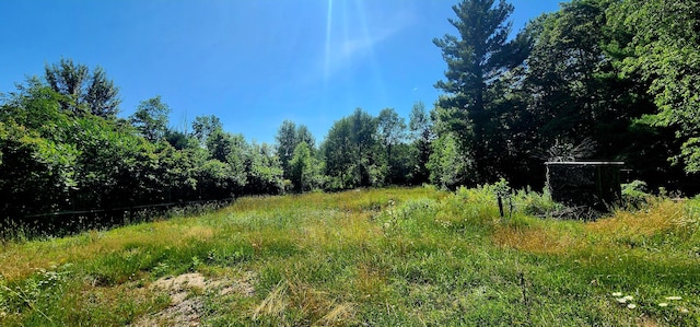 4433 Elm St, New Era, MI 49446 - view of woods