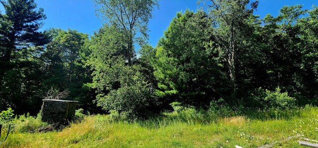 4433 Elm St, New Era, MI 49446 - view of nature