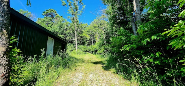 4433 Elm St, New Era, MI 49446 - view of yard