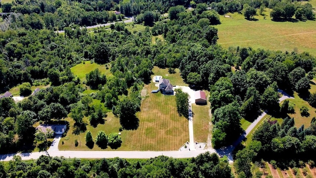 4433 Elm St, New Era, MI 49446 - aerial view of a forest
