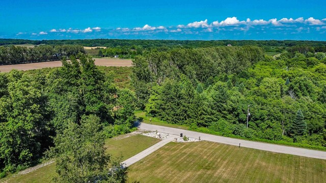 4433 Elm St, New Era, MI 49446 - bird's eye view of a heavily wooded area