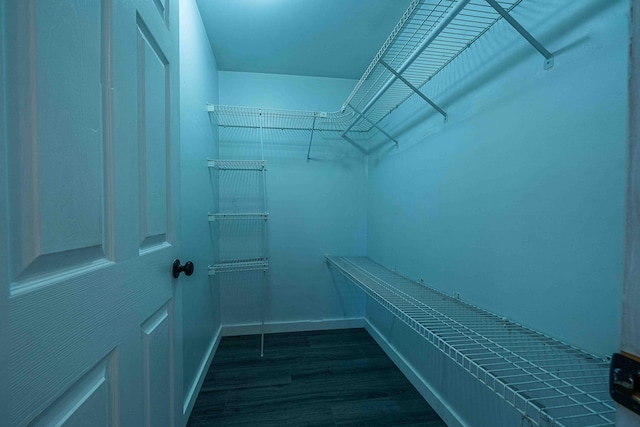 4433 Elm St, New Era, MI 49446 - spacious closet with dark wood finished floors