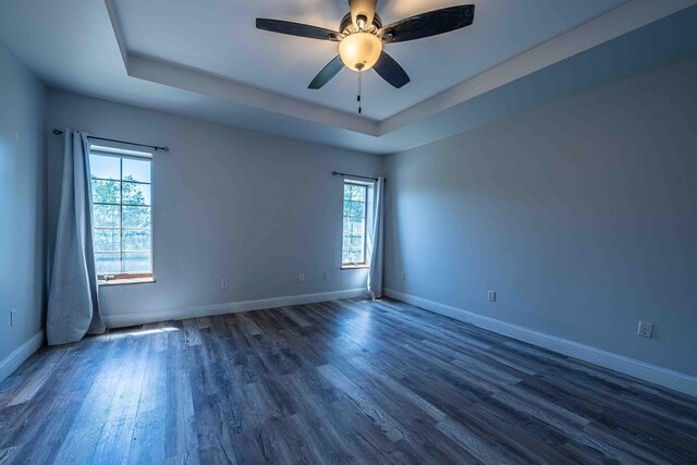 4433 Elm St, New Era, MI 49446 - spare room featuring plenty of natural light, a raised ceiling, and dark wood-style flooring