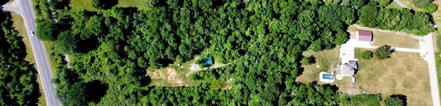4433 Elm St, New Era, MI 49446 - drone / aerial view