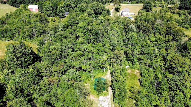 4433 Elm St, New Era, MI 49446 - aerial view