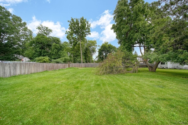 309 E Logan St, Tecumseh, MI 49286 - view of yard