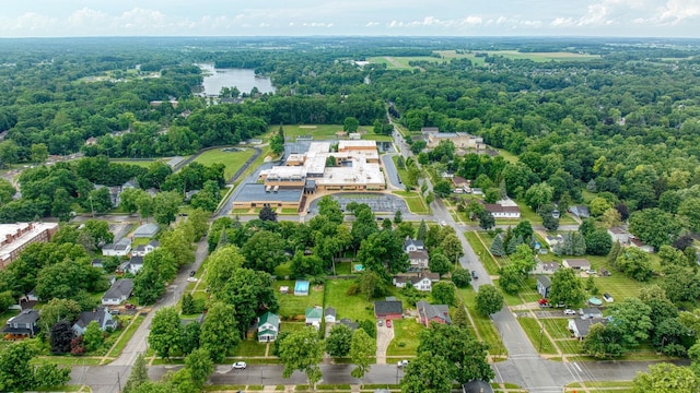 309 E Logan St, Tecumseh, MI 49286 - drone / aerial view of a heavily wooded area
