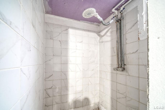 309 E Logan St, Tecumseh, MI 49286 - full bath with tiled shower