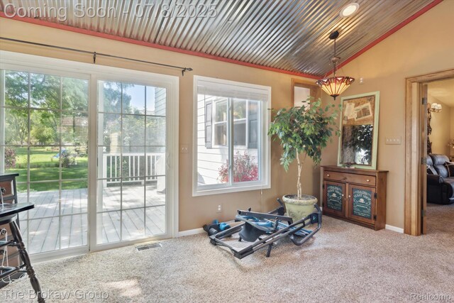 2210 Old Hickory Blvd, Davison, MI 48423 - workout room featuring vaulted ceiling, carpet flooring, and wooden ceiling