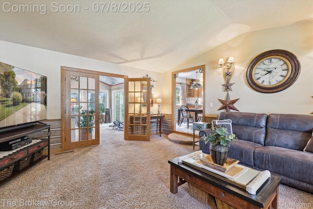 2210 Old Hickory Blvd, Davison, MI 48423 - living room with carpet, french doors, lofted ceiling, and a textured ceiling