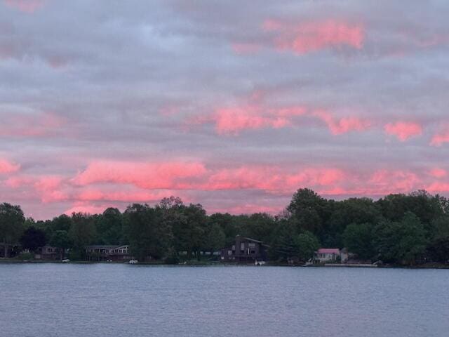 296 Lyon Lake Rd, Marshall, MI 49068 - water view