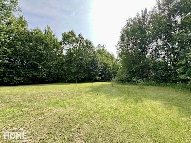 4949 S Iva Rd, Merrill, MI 48637 - view of green lawn