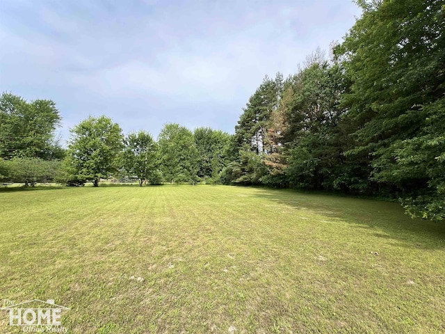 4949 S Iva Rd, Merrill, MI 48637 - view of grassy yard