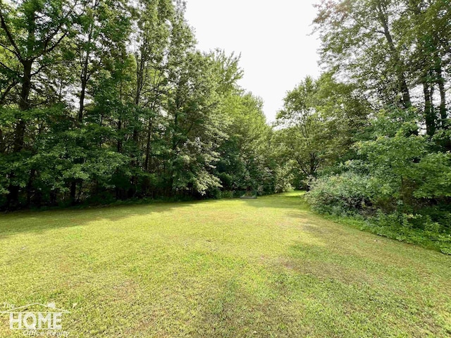 4949 S Iva Rd, Merrill, MI 48637 - view of green lawn