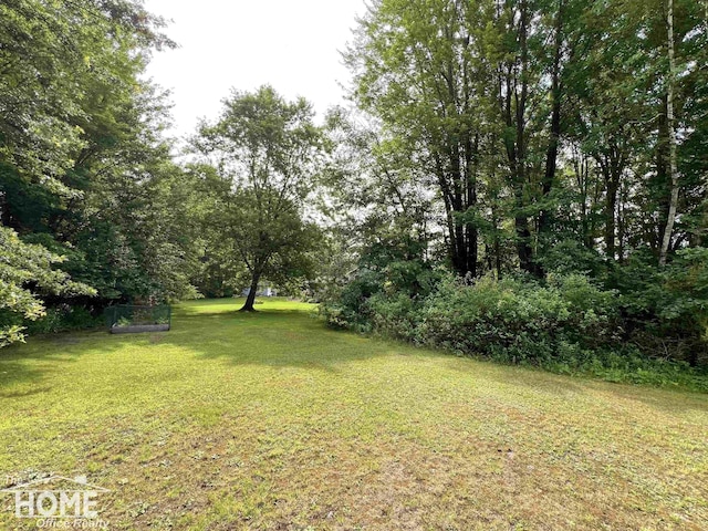 4949 S Iva Rd, Merrill, MI 48637 - view of green lawn