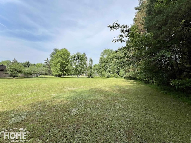 4949 S Iva Rd, Merrill, MI 48637 - view of green lawn