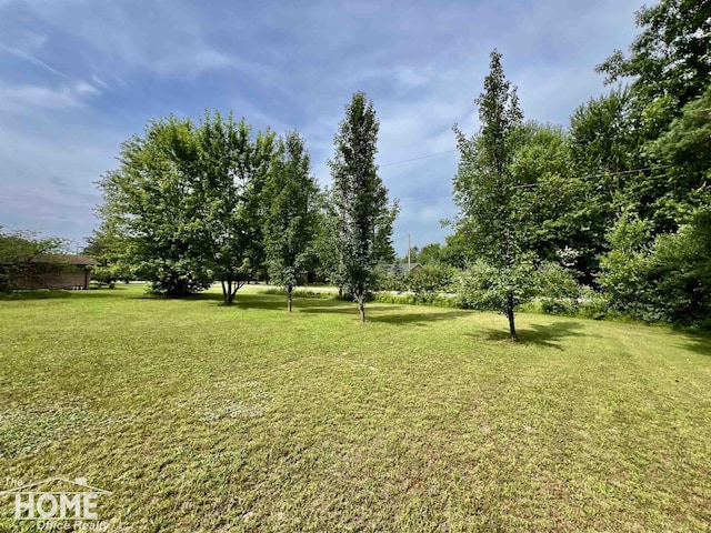 4949 S Iva Rd, Merrill, MI 48637 - view of green lawn