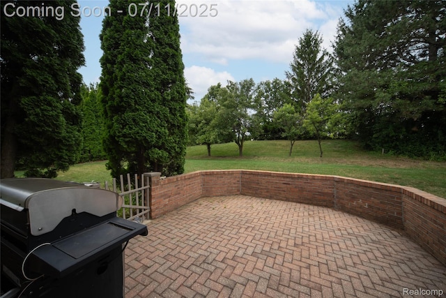 24145 Windridge Ln, Novi, MI 48374 - view of patio featuring a grill