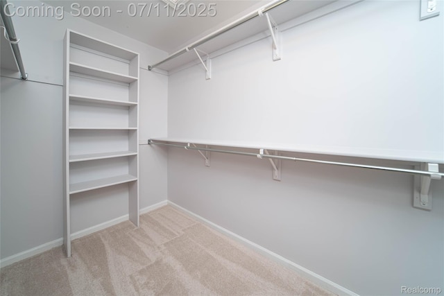 24145 Windridge Ln, Novi, MI 48374 - spacious closet featuring carpet flooring