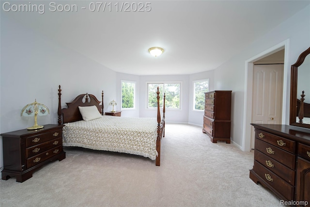 24145 Windridge Ln, Novi, MI 48374 - bedroom with light colored carpet