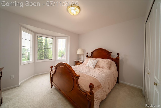 24145 Windridge Ln, Novi, MI 48374 - bedroom with light carpet and a closet