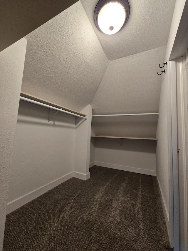 7 Hewitt St, Quincy, MI 49082 - walk in closet with dark colored carpet and vaulted ceiling