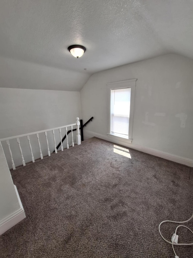 7 Hewitt St, Quincy, MI 49082 - bonus room featuring vaulted ceiling, carpet floors, and a textured ceiling