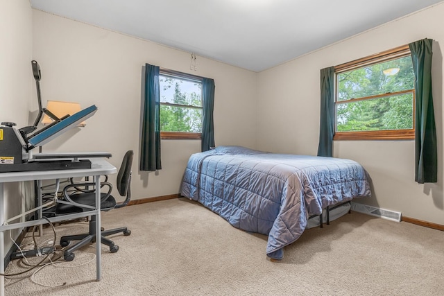 5304 Driftwood Ave, Kalamazoo, MI 49009 - bedroom featuring carpet floors