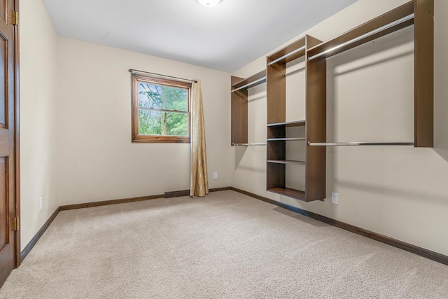 5304 Driftwood Ave, Kalamazoo, MI 49009 - spacious closet with carpet flooring
