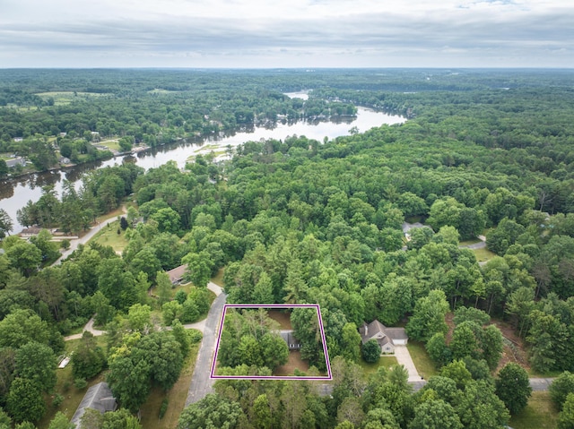 19085 Joslin Cir, Big Rapids, MI 49307 - aerial view of property's location featuring a nearby body of water and property boundaries highlighted