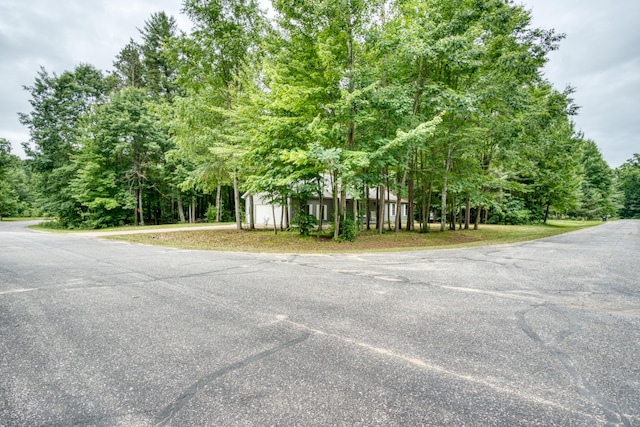 19085 Joslin Cir, Big Rapids, MI 49307 - view of asphalt road