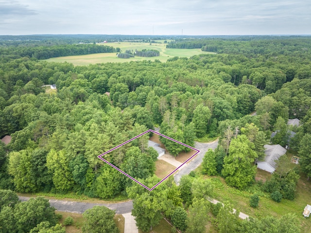 19085 Joslin Cir, Big Rapids, MI 49307 - aerial view of property's location with property boundaries highlighted and a forest