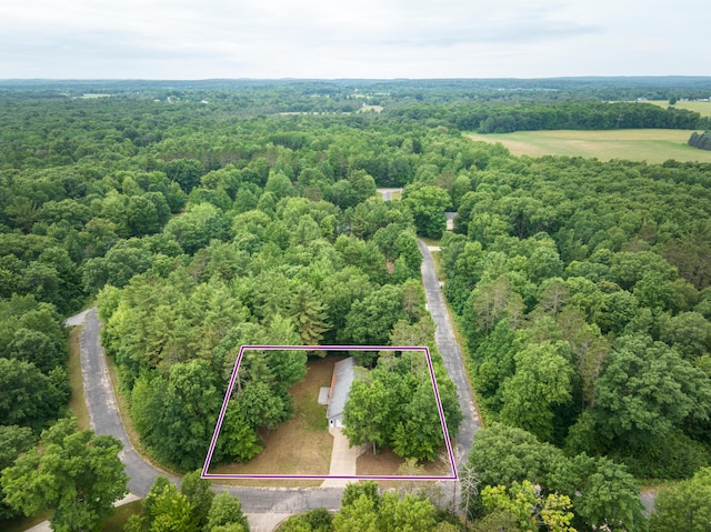 19085 Joslin Cir, Big Rapids, MI 49307 - aerial view of property's location featuring a heavily wooded area and property boundaries highlighted