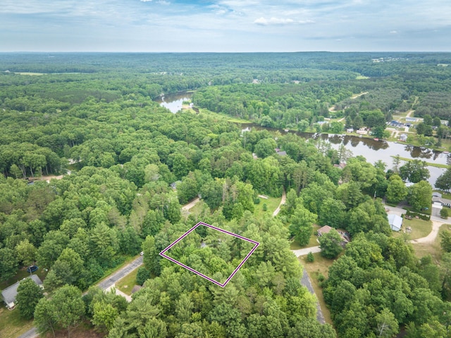 19085 Joslin Cir, Big Rapids, MI 49307 - aerial view of property and surrounding area featuring a forest and property parcel outlined