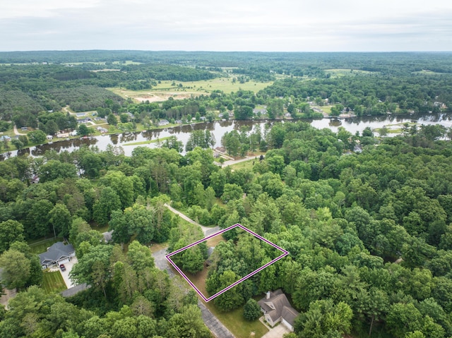 19085 Joslin Cir, Big Rapids, MI 49307 - aerial view of property and surrounding area featuring a large body of water and property boundaries highlighted