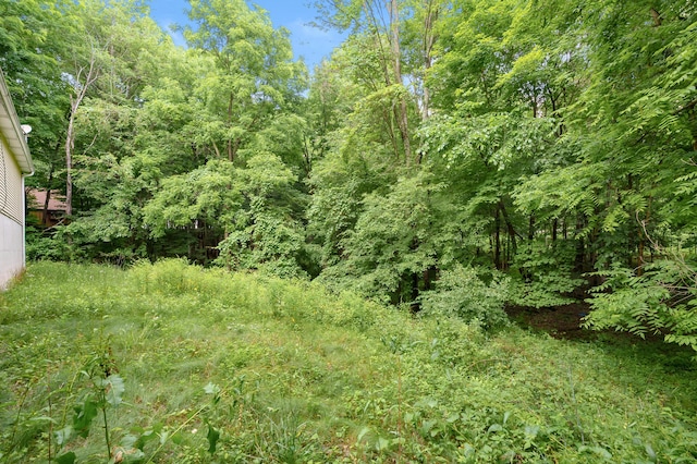 7906 N 43rd St, Augusta, MI 49012 - view of wooded area