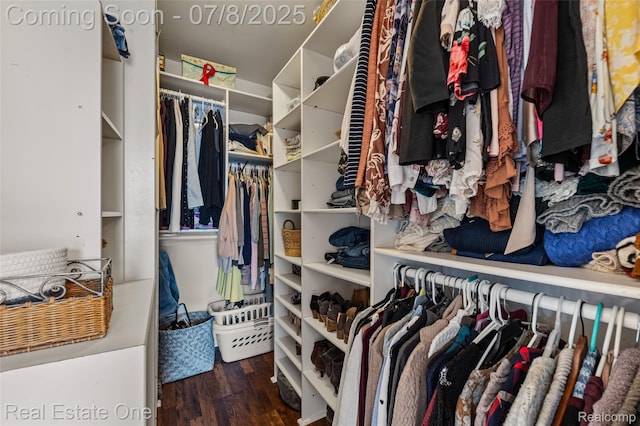 17734 Huron Dr, Macomb, MI 48042 - spacious closet with wood finished floors