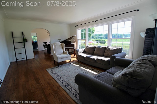 4201 N Burkhart Rd, Howell, MI 48855 - living area featuring arched walkways and wood finished floors