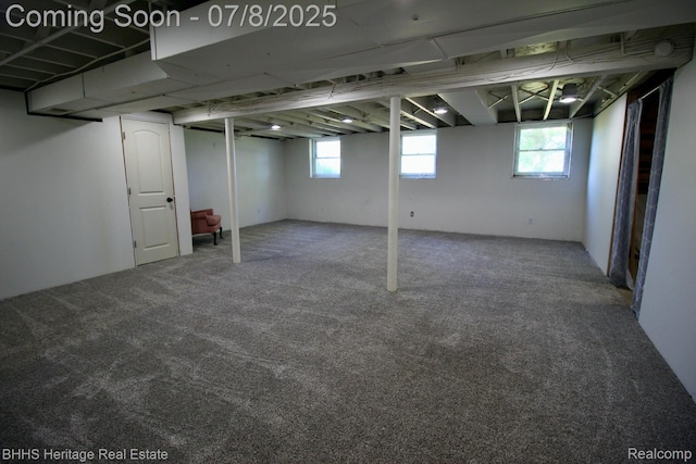 4201 N Burkhart Rd, Howell, MI 48855 - below grade area with healthy amount of natural light and carpet floors