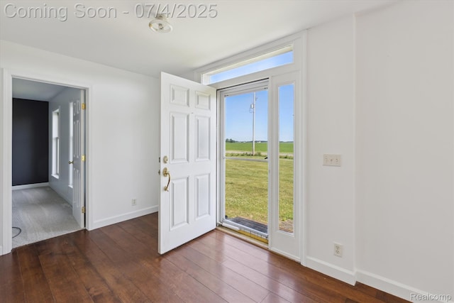 10934 Baker Rd, Frankenmuth, MI 48734 - entryway featuring dark wood-style flooring and plenty of natural light