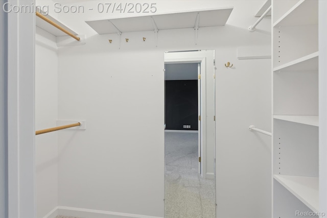 10934 Baker Rd, Frankenmuth, MI 48734 - walk in closet featuring carpet