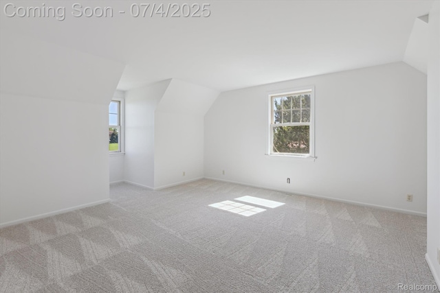 10934 Baker Rd, Frankenmuth, MI 48734 - bonus room featuring lofted ceiling and carpet floors