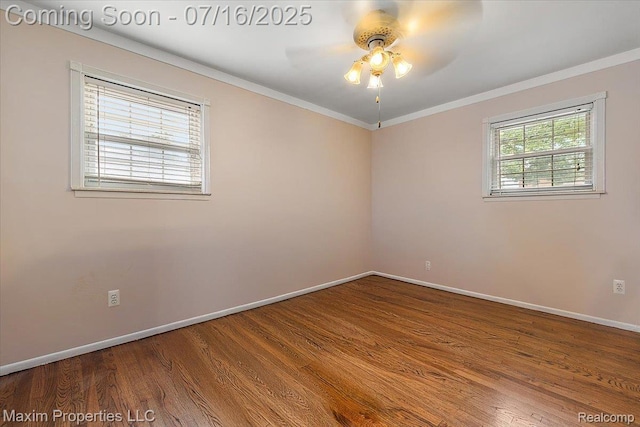 3939 15th St, Wyandotte, MI 48192 - photo 10