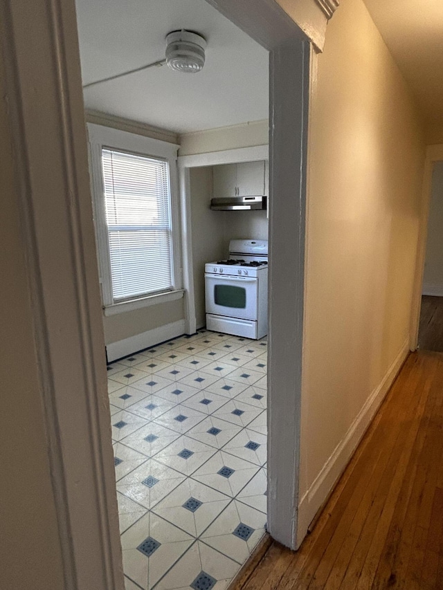 5208 Commonwealth St, Detroit, MI 48208 - kitchen with white gas stove, under cabinet range hood, and light wood-style flooring