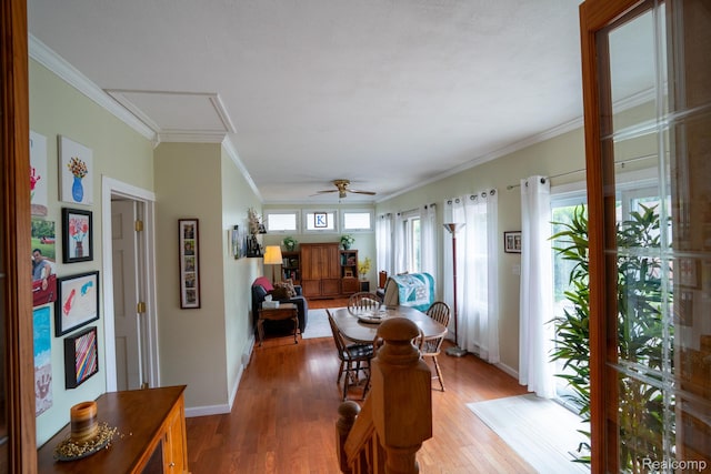 3320 Middlefield Dr, Trenton, MI 48183 - photo 15