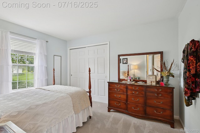 378 Fruitdale Ln, Pinckney, MI 48169 - bedroom with light carpet and a closet