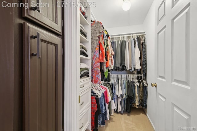 378 Fruitdale Ln, Pinckney, MI 48169 - spacious closet with carpet floors