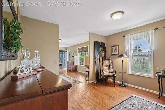 378 Fruitdale Ln, Pinckney, MI 48169 - office area featuring light wood-type flooring and baseboards